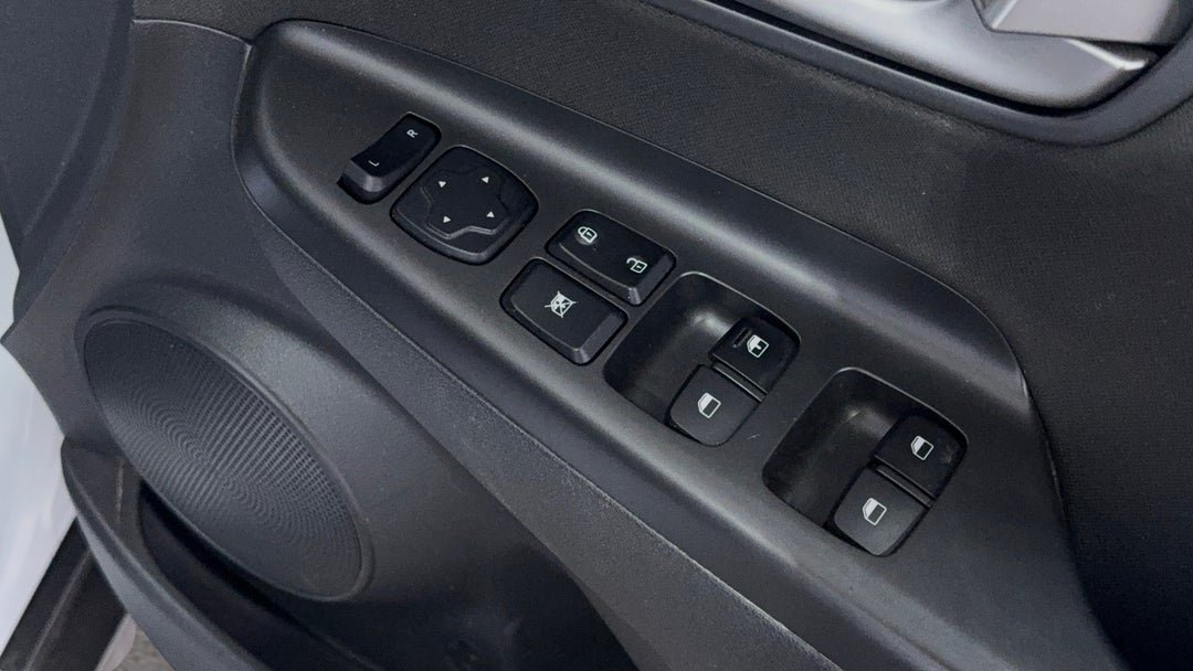 Drivers Side Door Panel Controls