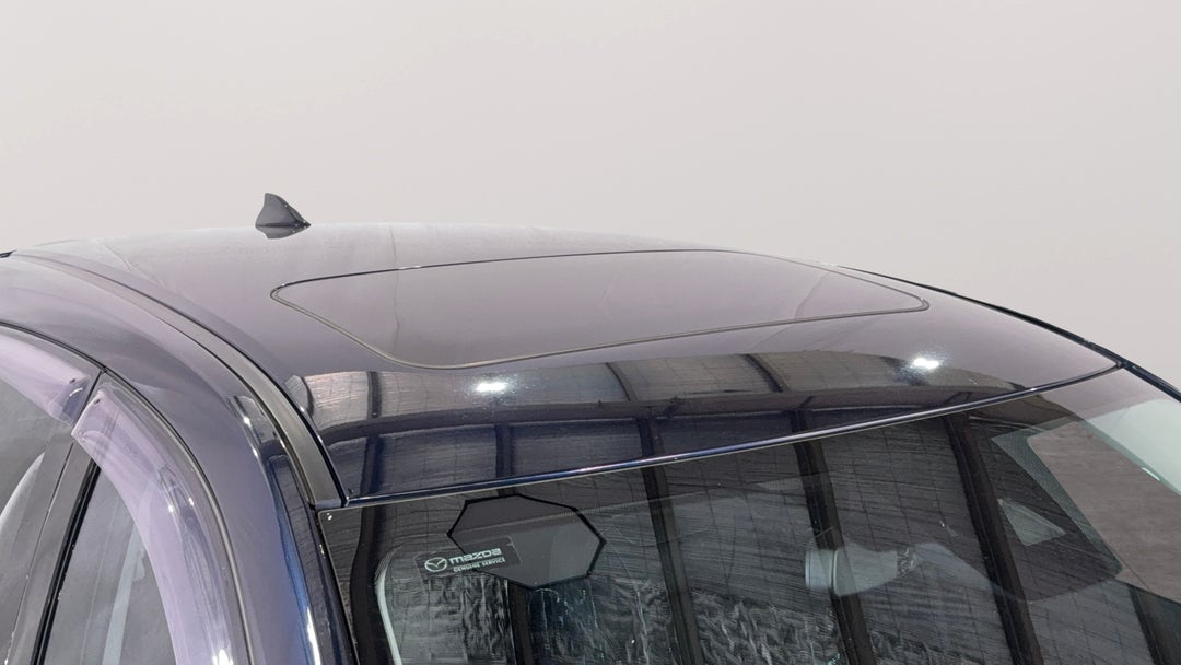 Roof/Sunroof View