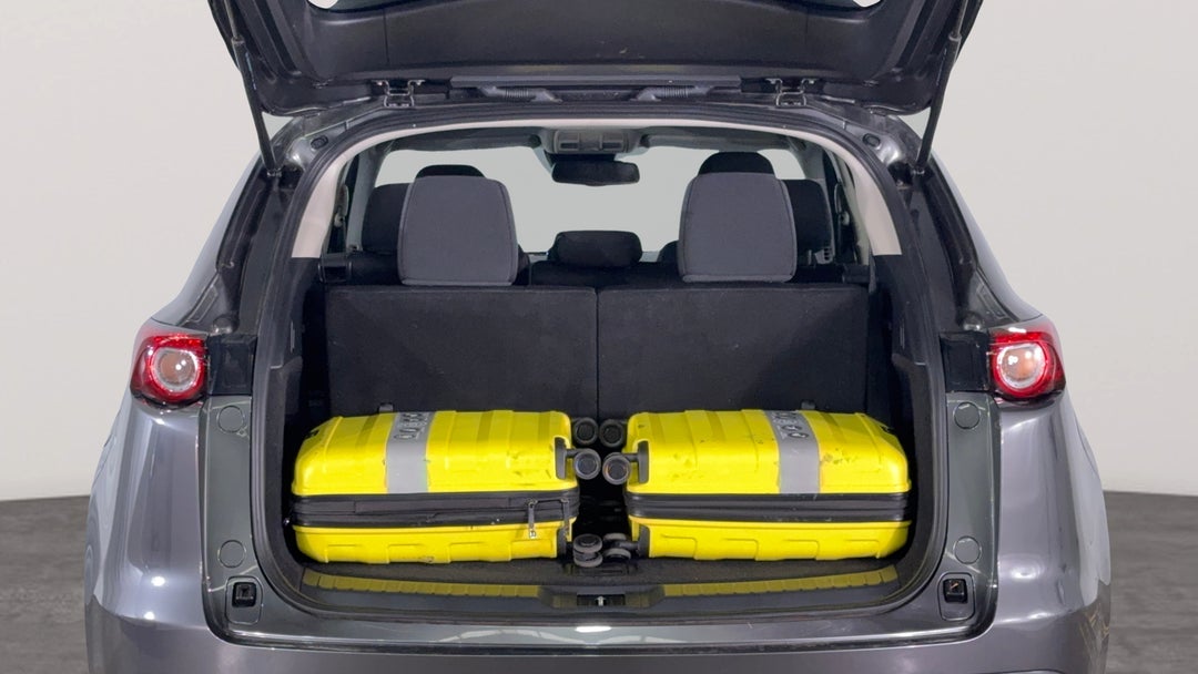 Boot Inside View with Luggage