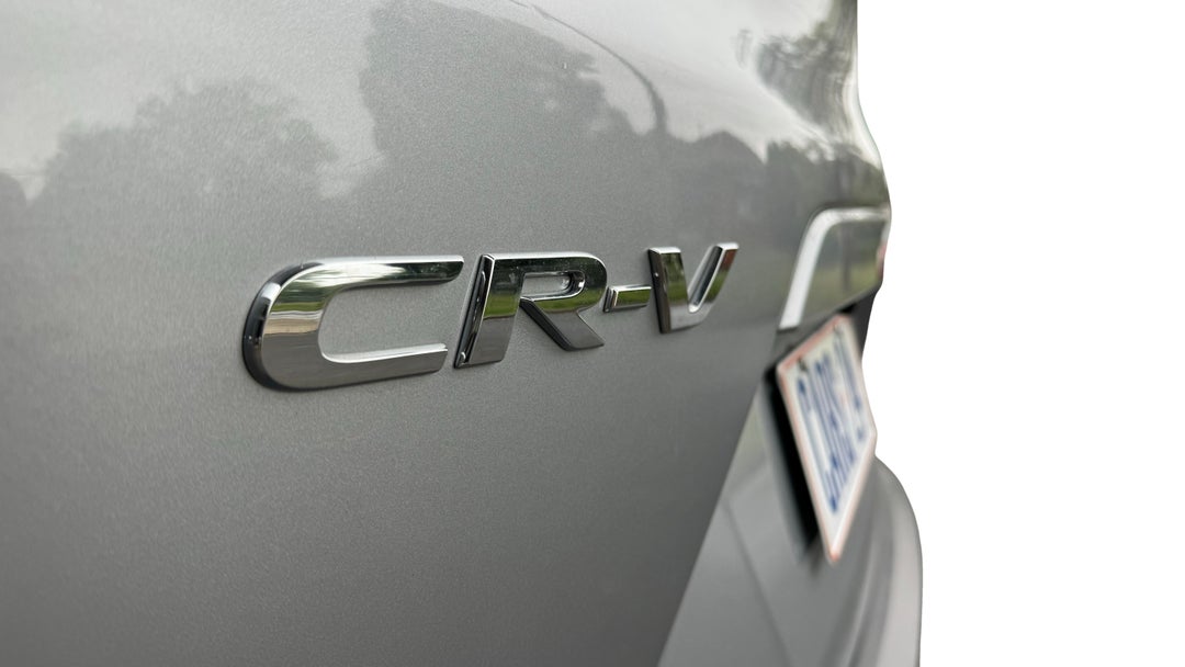 Badge (Boot Left Side)