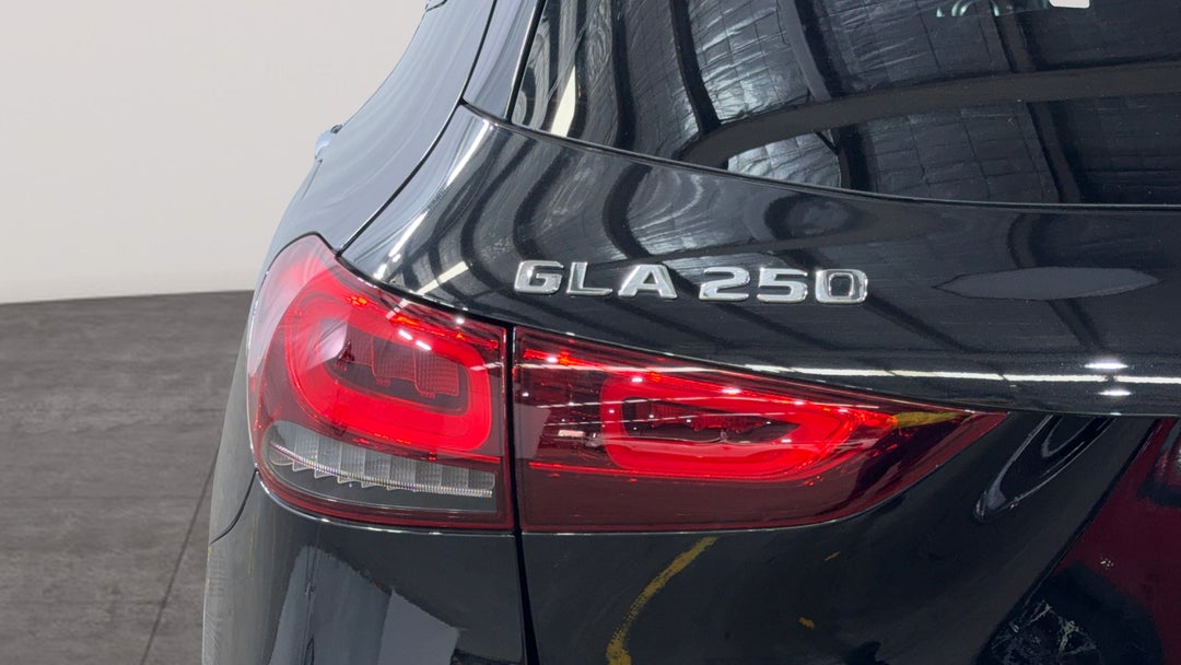 Badge (Boot Left Side)