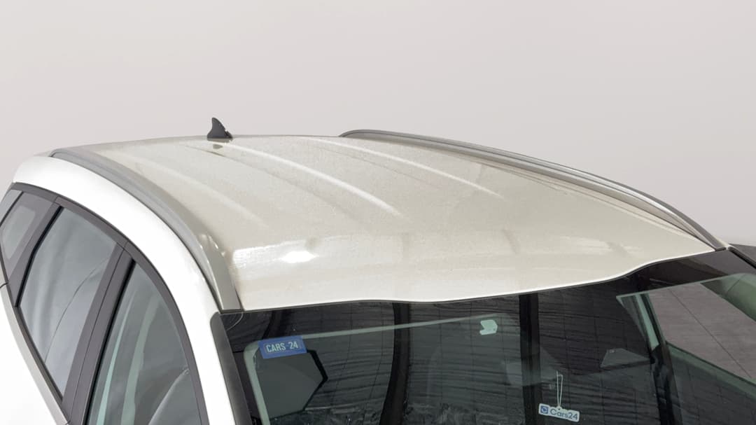 Roof/Sunroof View
