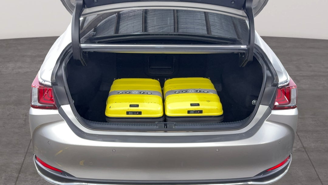 Boot Inside View with Luggage