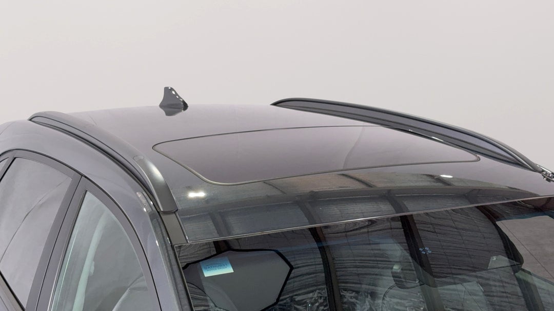 Roof/Sunroof View