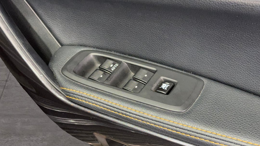 Drivers Side Door Panel Controls