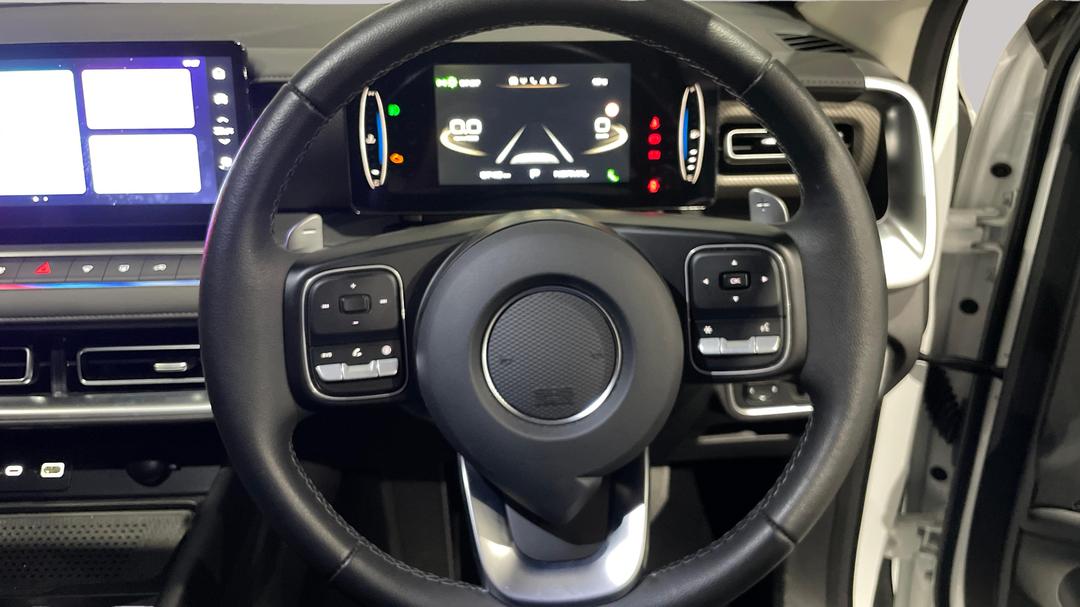 2025 GWM Cannon Lux (4x4), Automatic, 8742 km, Steering Wheel Close-up