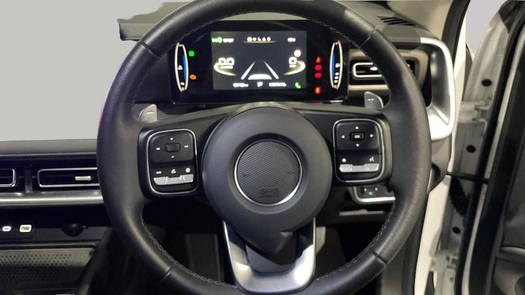 2025 GWM Cannon Lux (4x4), Automatic, 8742 km, Steering Wheel Close-up