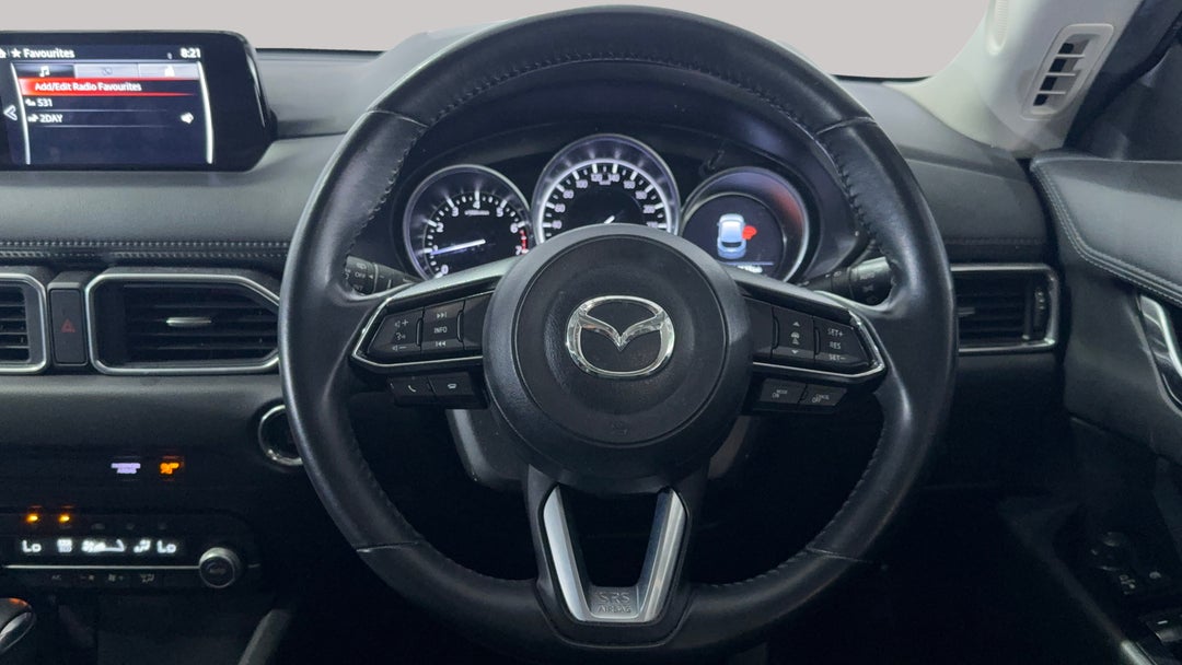 Steering Wheel Close-up