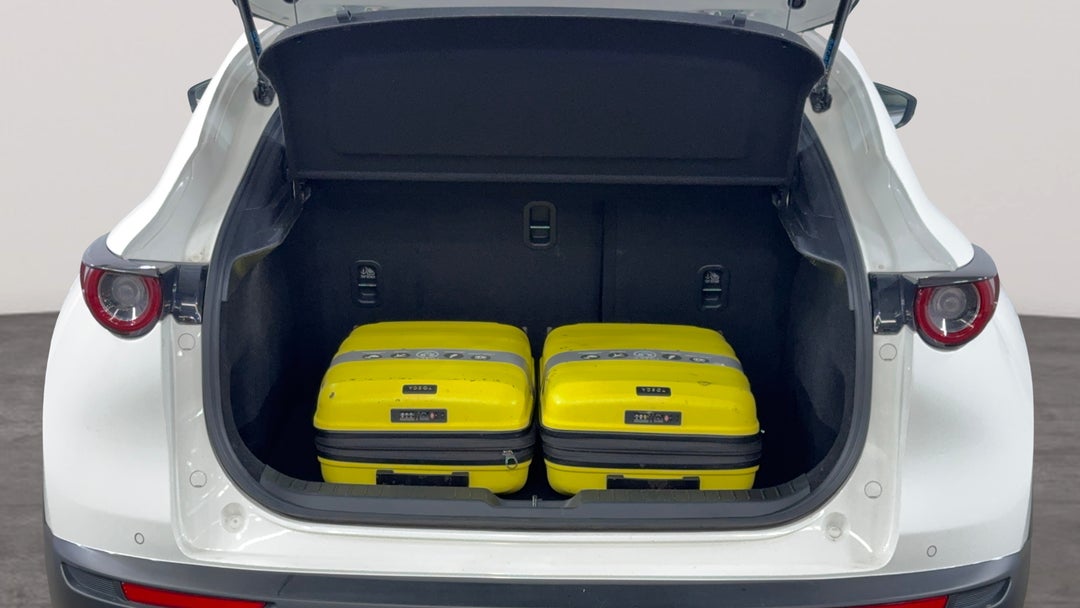 Boot Inside View with Luggage