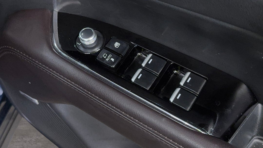 Drivers Side Door Panel Controls