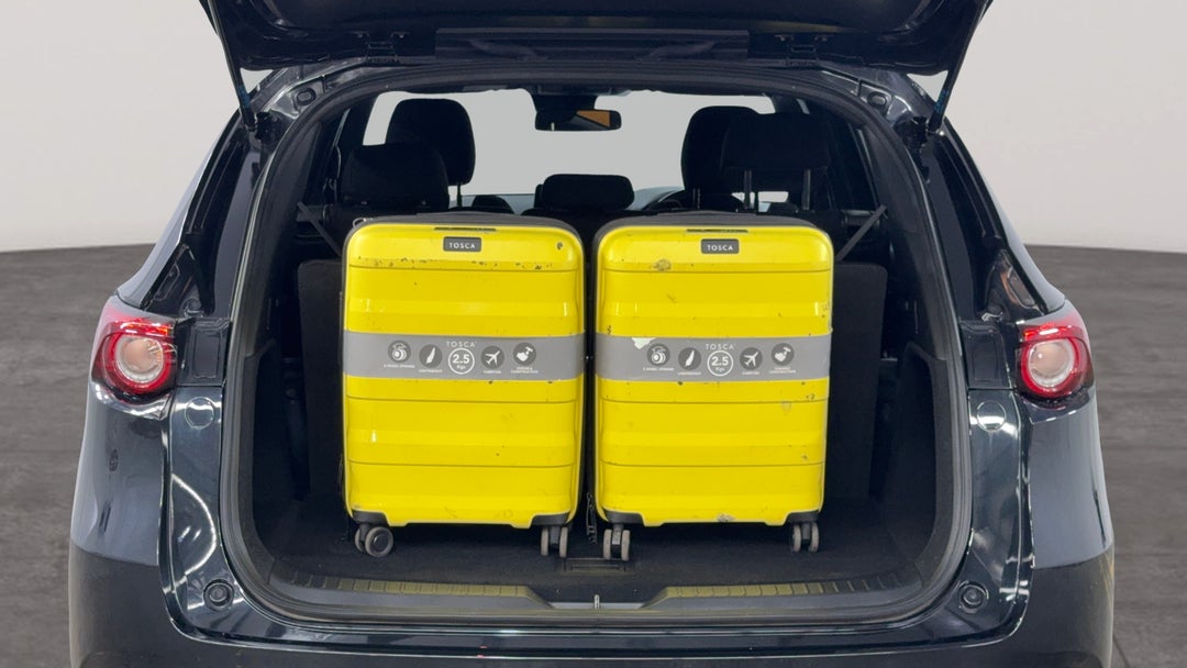 Boot Inside View with Luggage