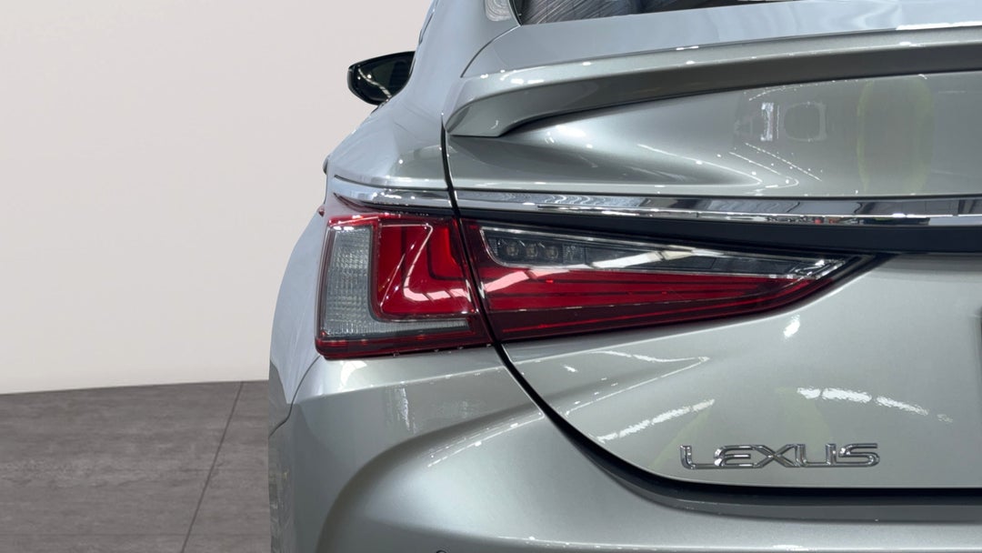 Badge (Boot Left Side)