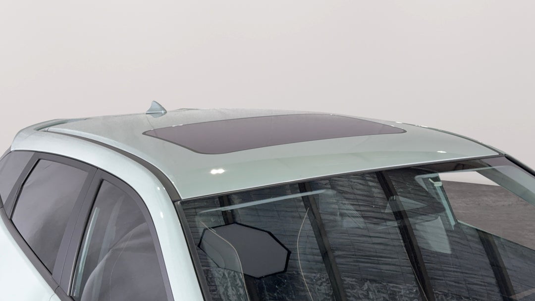 Roof/Sunroof View