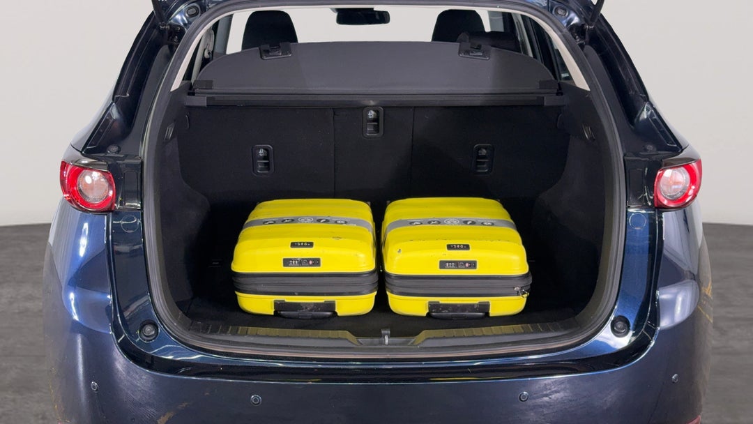 Boot Inside View with Luggage