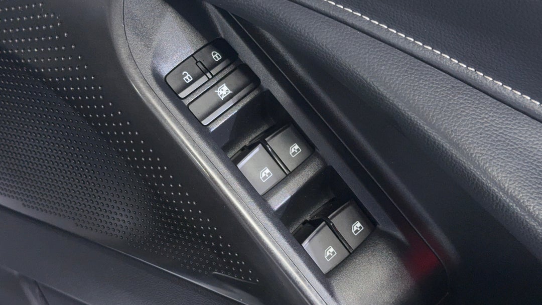 Drivers Side Door Panel Controls