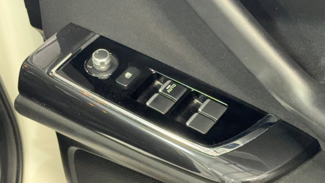 Drivers Side Door Panel Controls