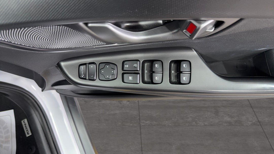 Drivers Side Door Panel Controls