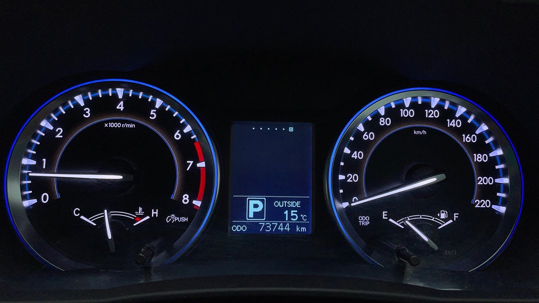 Odometer View