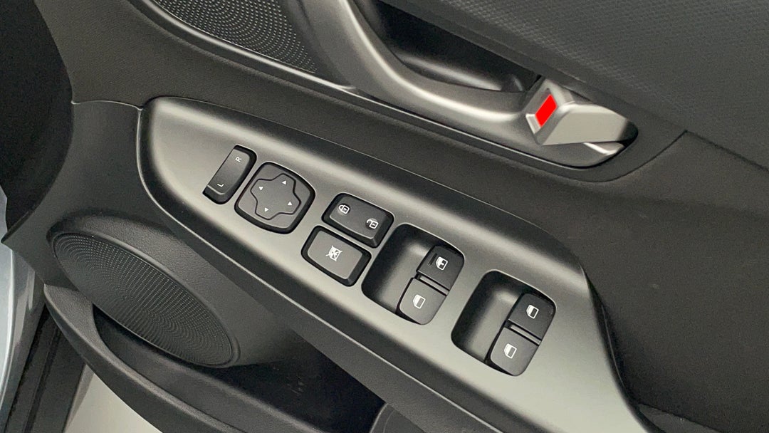 Drivers Side Door Panel Controls