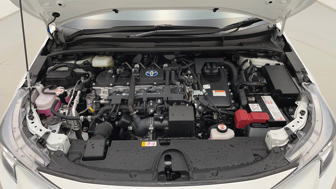 Open Bonnet (Engine)