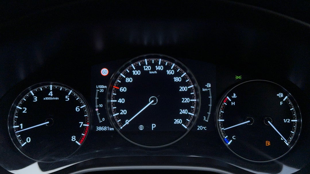 Odometer View