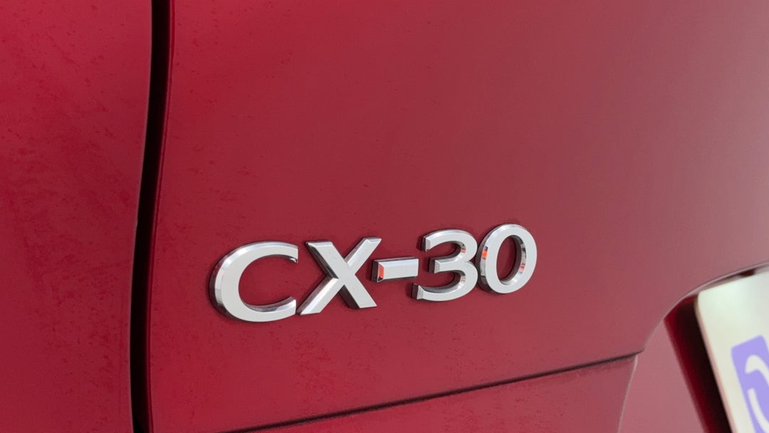 Badge (Boot Left Side)