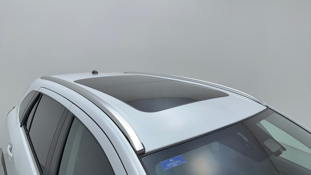 Roof/Sunroof View