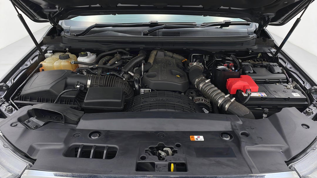 Open Bonnet (Engine)