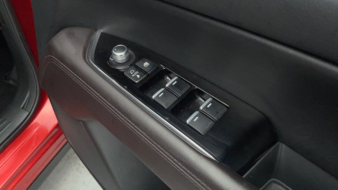 Drivers Side Door Panel Controls