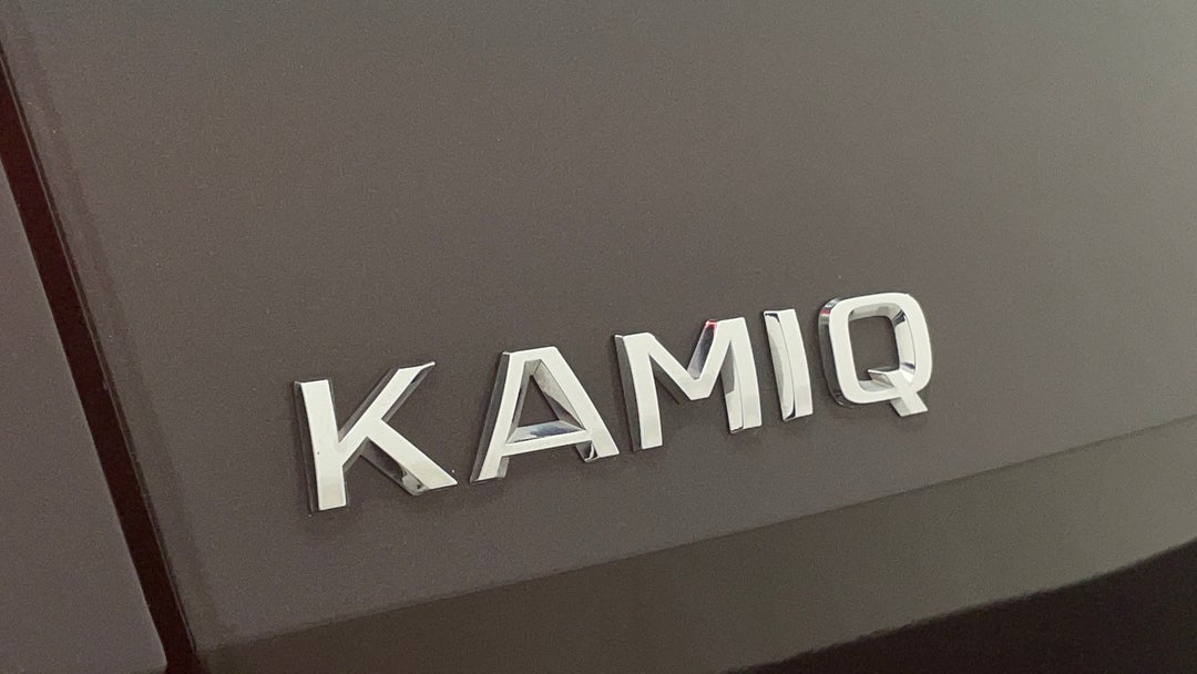 Badge (Boot Left Side)