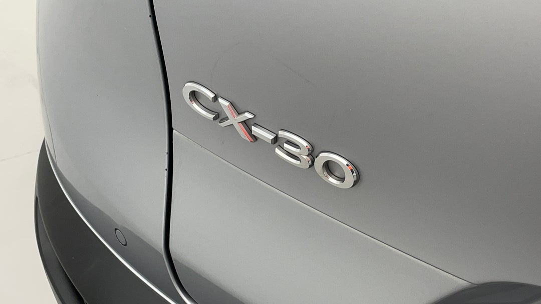 Badge (Boot Left Side)