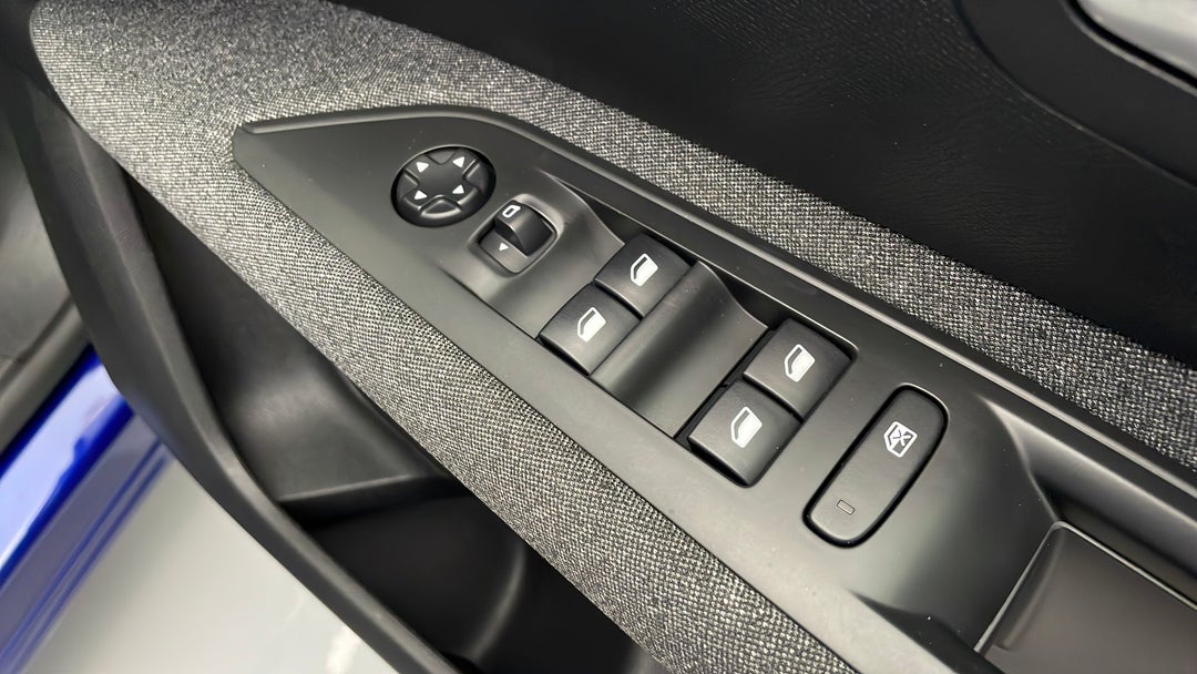 Drivers Side Door Panel Controls