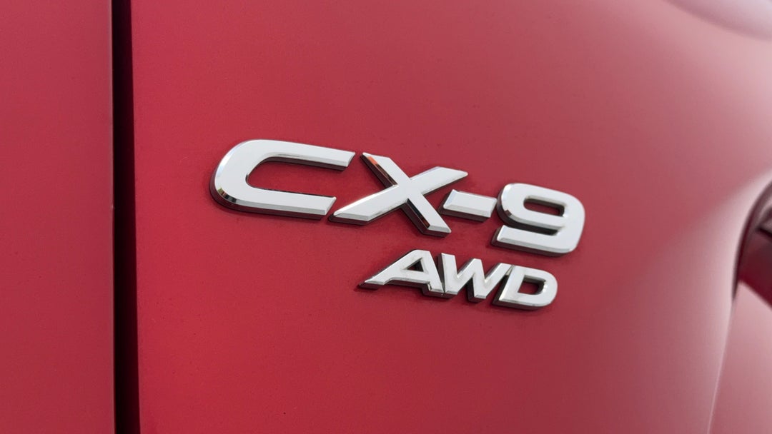 Badge (Boot Left Side)