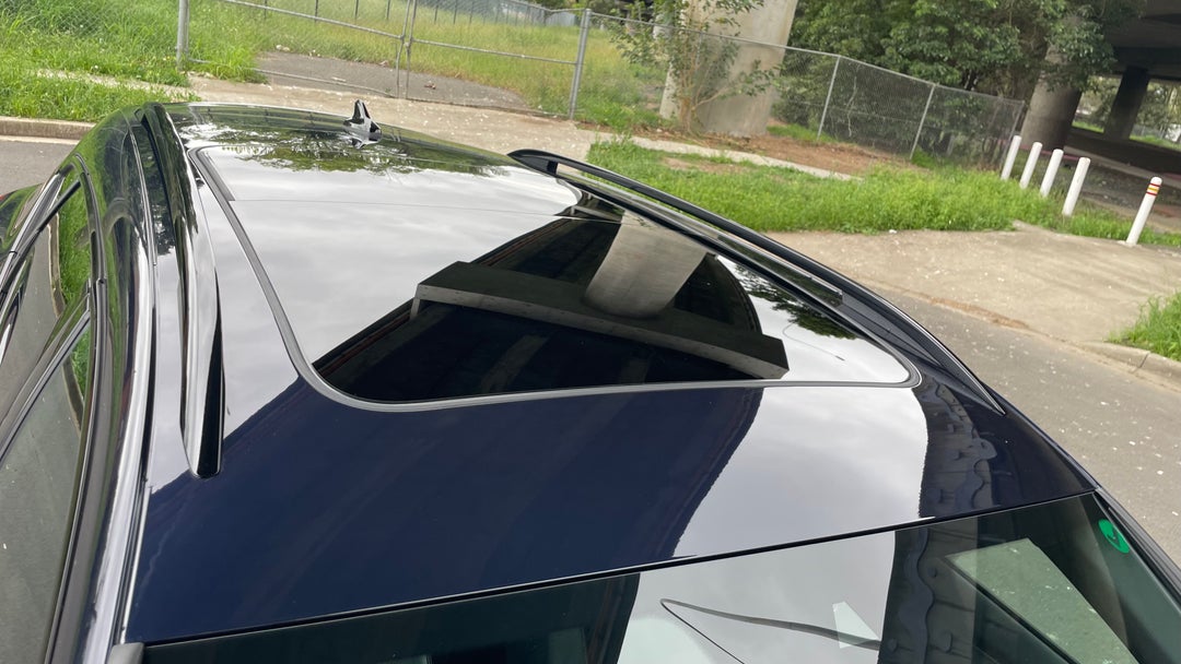 Roof/Sunroof View