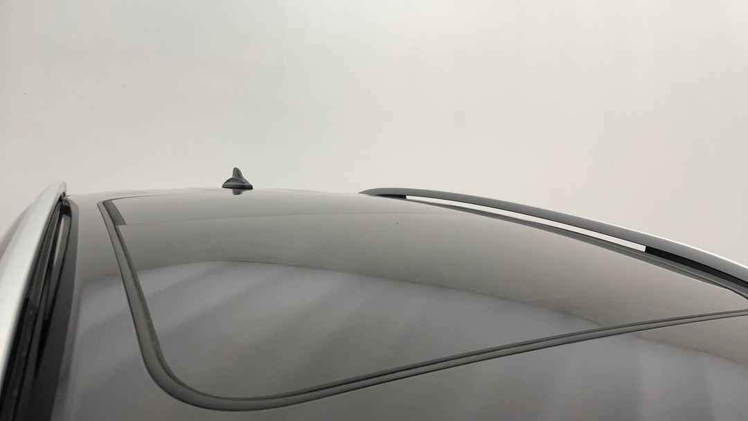 Roof/Sunroof View