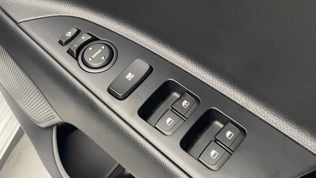 Drivers Side Door Panel Controls