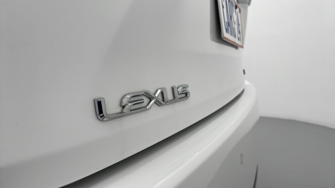 Badge (Boot Left Side)