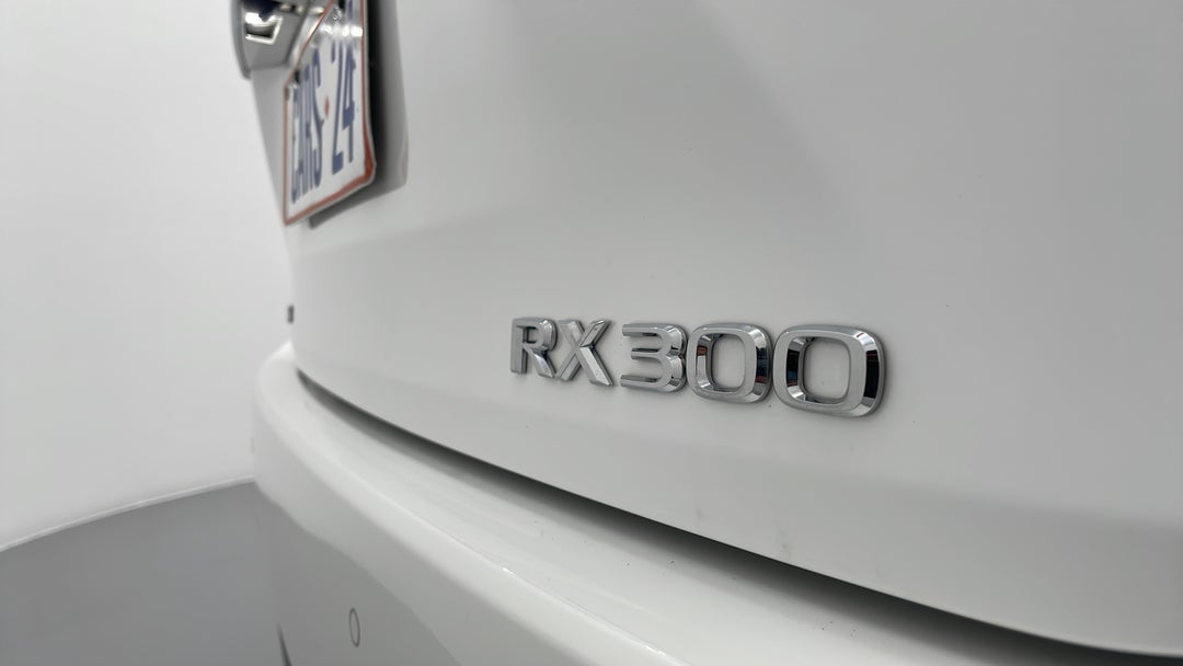 Badge (Boot Right Side)