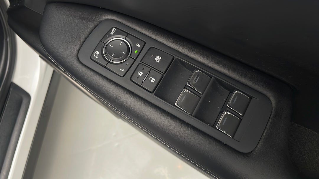 Drivers Side Door Panel Controls