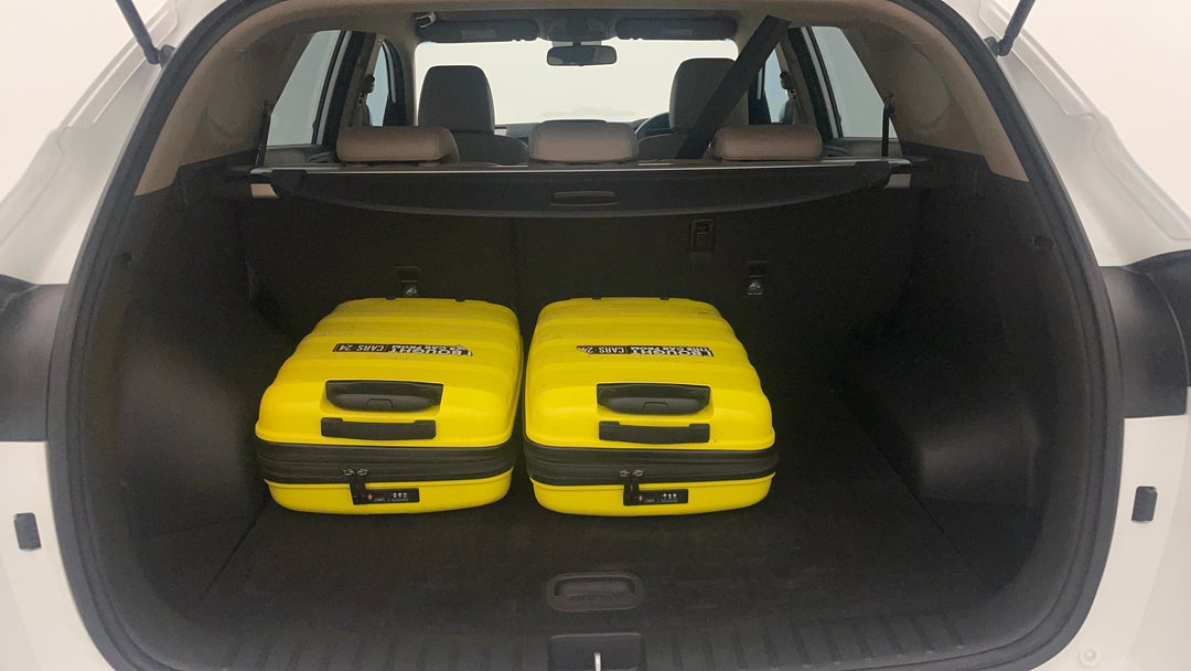 Boot Inside View with Luggage