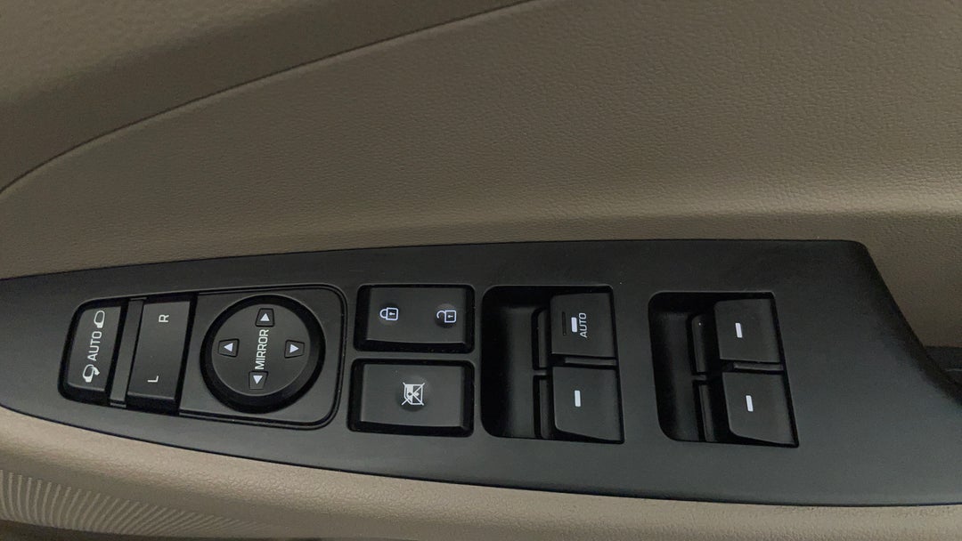 Drivers Side Door Panel Controls