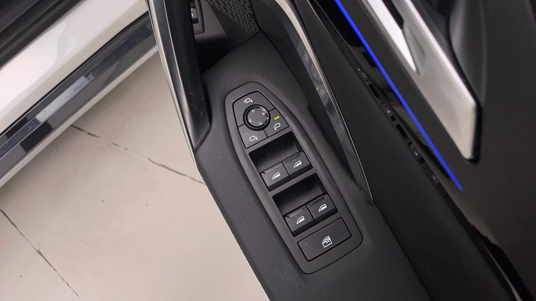 Drivers Side Door Panel Controls