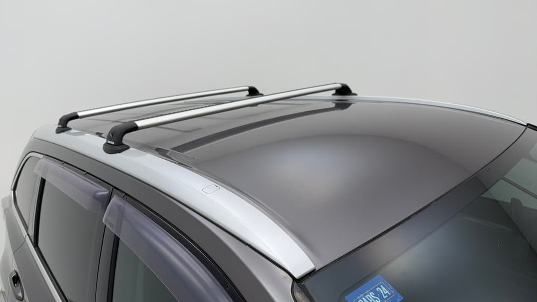 Roof/Sunroof View