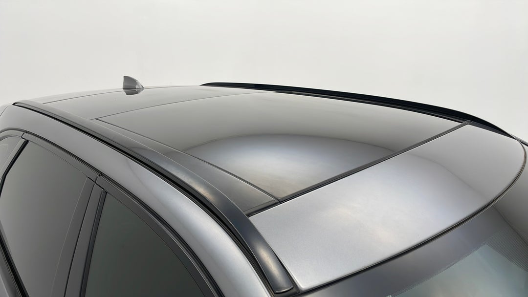 Roof/Sunroof View