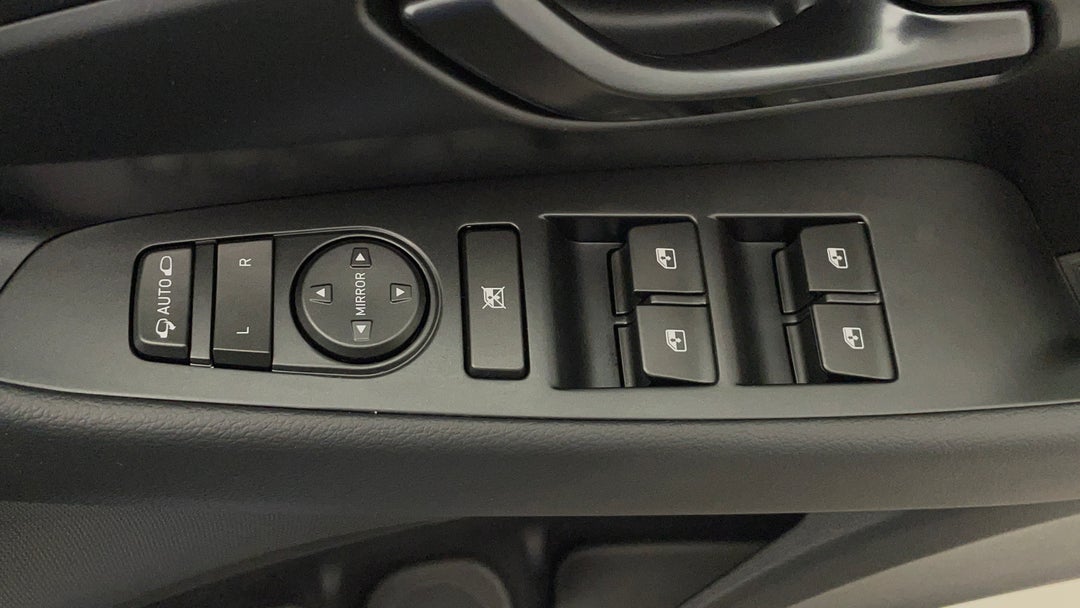 Drivers Side Door Panel Controls