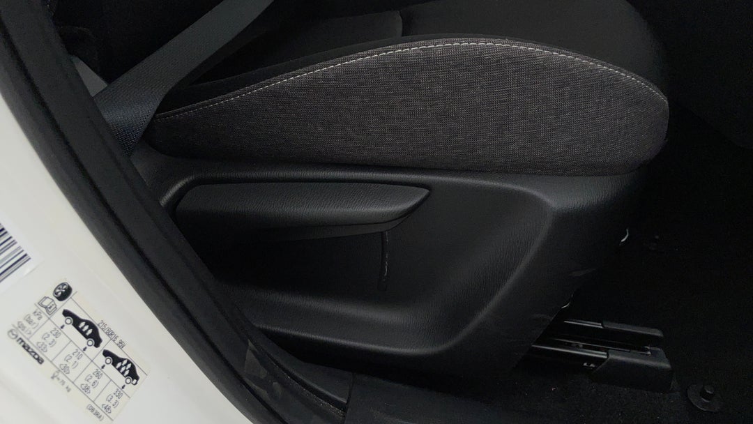 Drivers Side Adjustment Panel