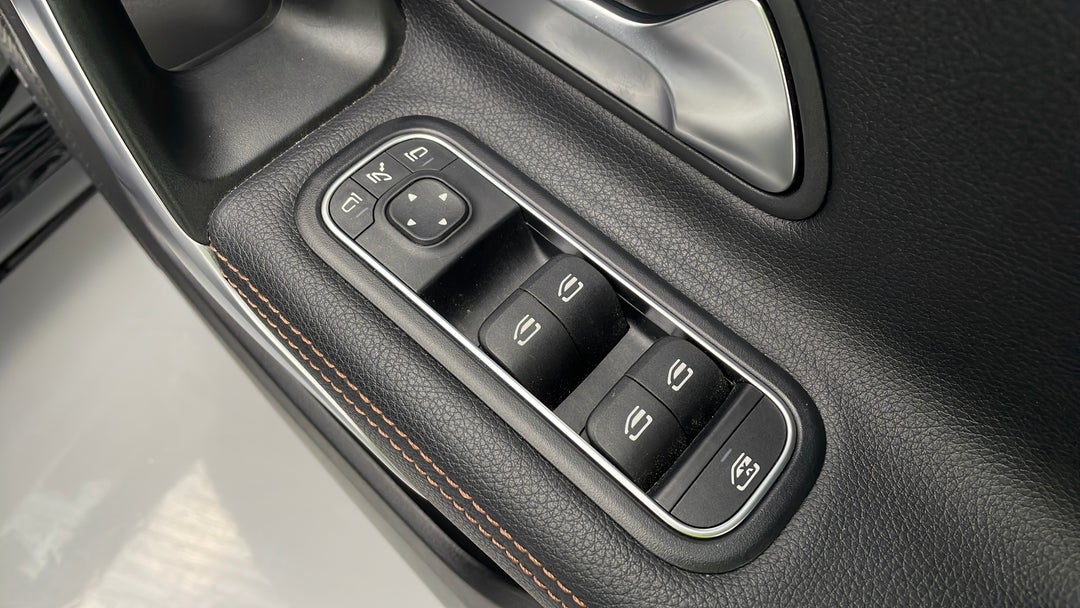 Drivers Side Door Panel Controls
