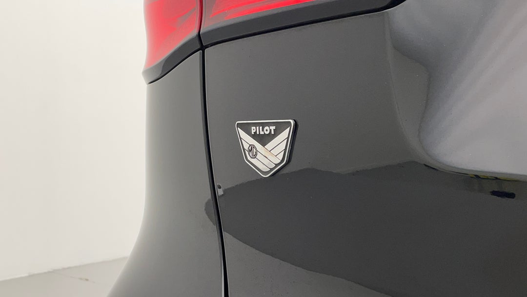 Badge (Boot Left Side)