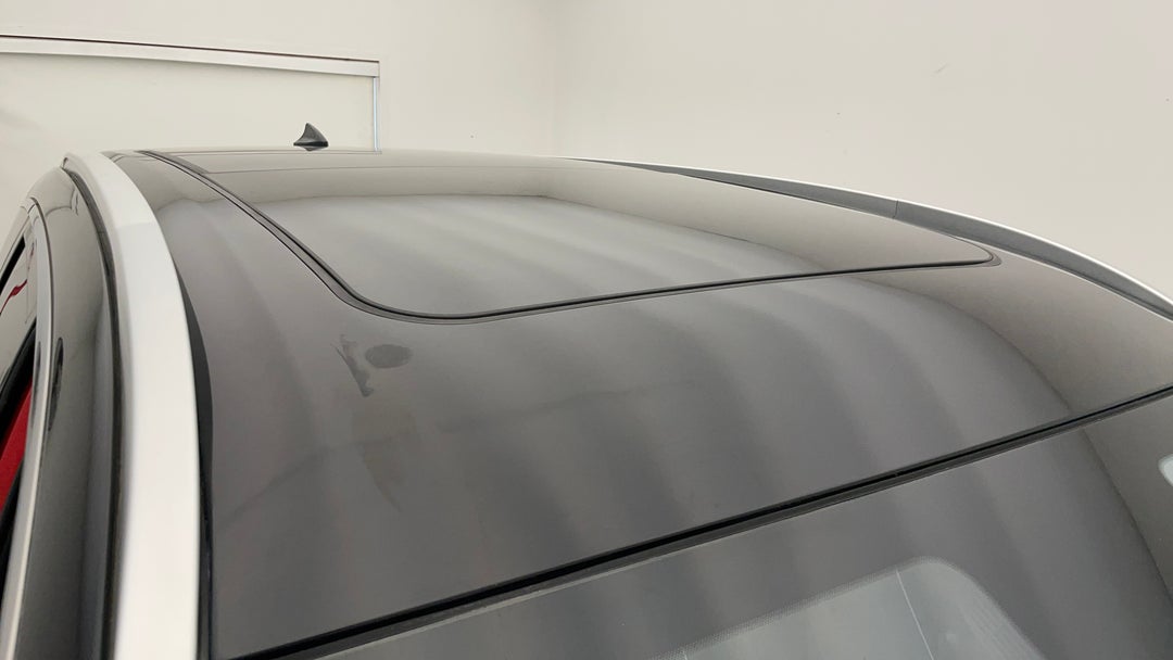 Roof/Sunroof View