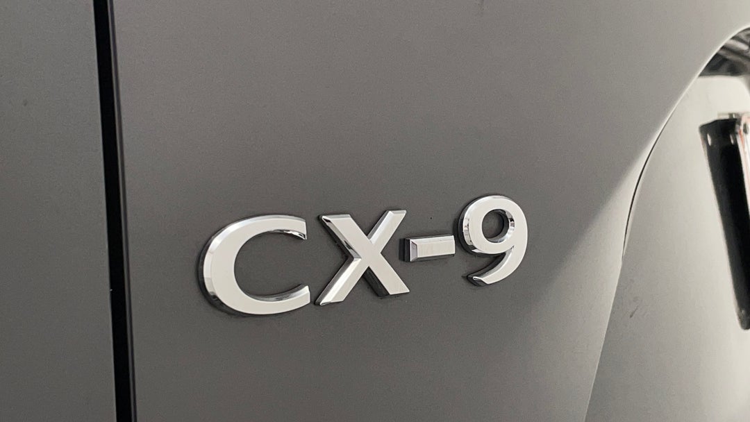 Badge (Boot Left Side)